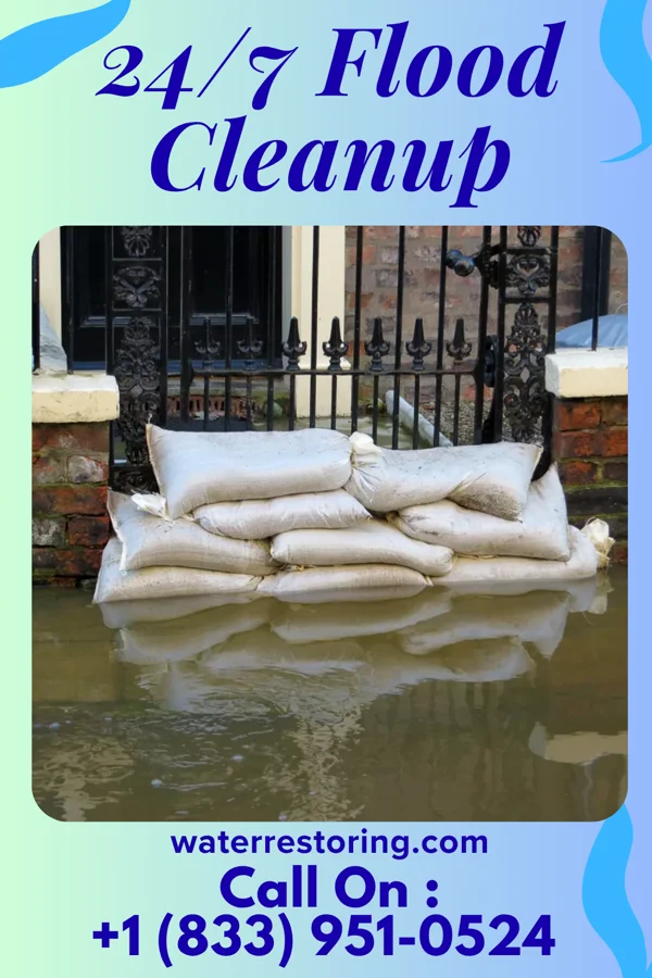 24/7 Flood Cleanup in Newaygo, MI