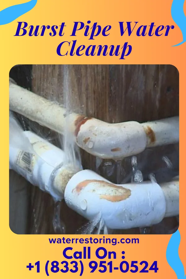 Burst Pipe Water Cleanup in Newaygo, MI