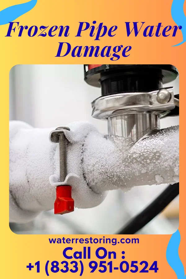 Frozen Pipe Water Damage in Newaygo, MI