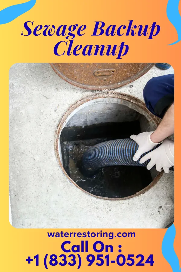 Sewage Backup Cleanup in Newaygo, MI