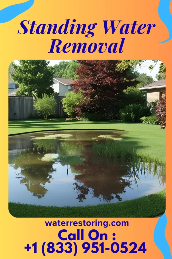 Standing Water Removal in Newaygo, MI